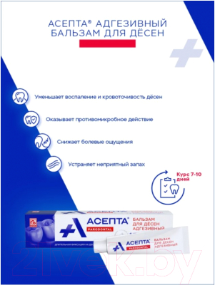 Изображение товара Гель для десен Асепта Бальзам Адгезивный (10г)