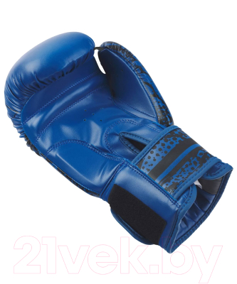 Боксерские перчатки Insane Odin / IN22-BG200 (12oz, синий)