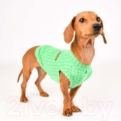 Футболка для животных Puppia Bonnie / PAVA-TS1904-GR (XL, зеленый)