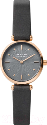 

Часы наручные женские Skagen, SKW2995