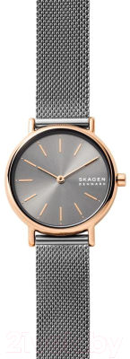 Часы наручные женские Skagen SKW2996