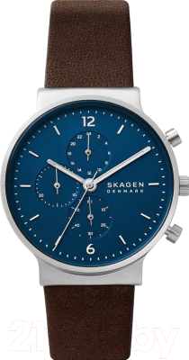 Часы наручные мужские Skagen SKW6765