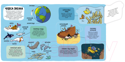 Развивающая книга CLEVER Маленькие исследователи. Океаны и моря (Измайлова Е.)