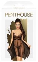 Костюм эротический Penthouse Naughty Doll & Quot / PENT4006277 (L/XL, черный) - 