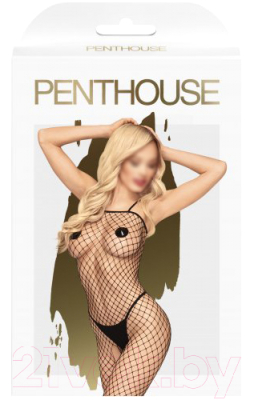 Костюм-сетка эротический Penthouse Body Search / PENT4006437 (S/L, черный)