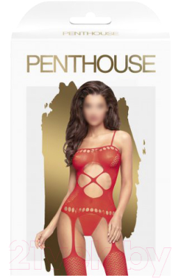 Костюм-сетка эротический Penthouse Hot Nightfall / PENT4005027 (S/L, красный)