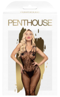 Костюм-сетка эротический Penthouse Dirty Mind / PENT4005249 (S/L ) - 