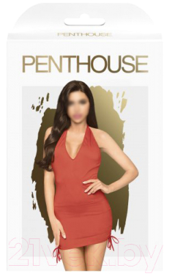 Костюм эротический Penthouse Earth-Shaker / PENT4005607 (S/M, красный)