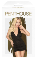 Костюм эротический Penthouse Earth-Shaker / PENT4005645 (M/L, черный) - 