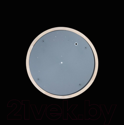 Потолочный светильник Loftit Axel 10001/36 Grey