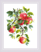 Набор для вышивания Риолис Наливные яблочки / 1938 - 