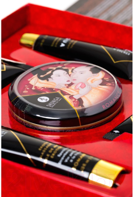 Набор для эротических игр Shunga Geisha's Secret клубника и шампанское / 8208