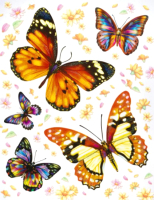 

Набор наклеек на окно Золотая сказка, Бабочки 2 / 591232