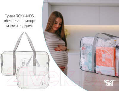 Комплект сумок в роддом Roxy-Kids RKB-005 (2шт, серый)