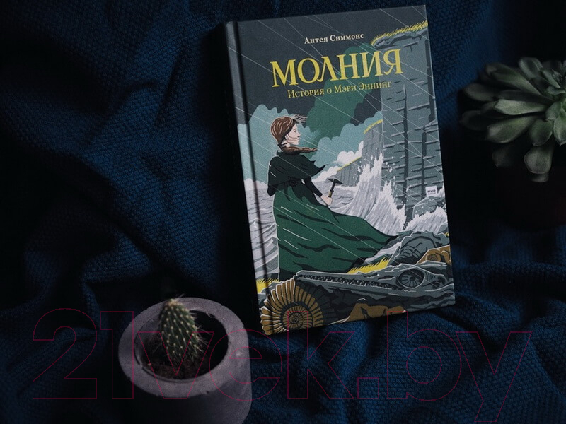 Книга МИФ Молния. История о Мэри Эннинг