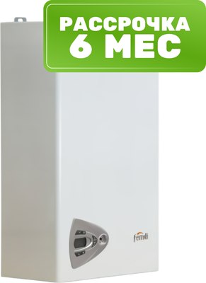 Газовый котел Ferroli Vitabel HF 24