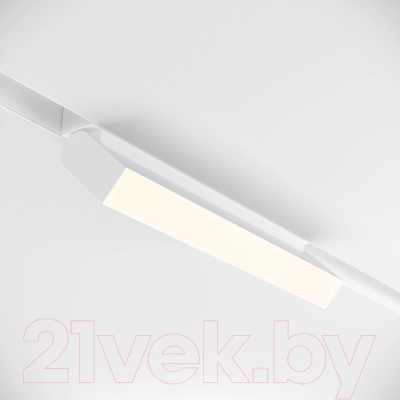 Трековый светильник Arte Lamp Basis TR013-2-20W4K-W