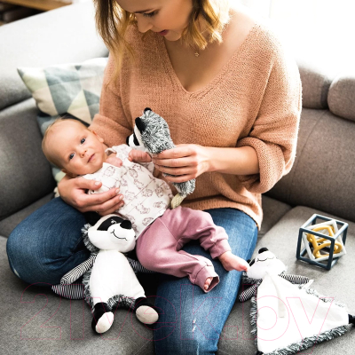 Прорезыватель для зубов BabyOno Пищалка Енот Роки / 746