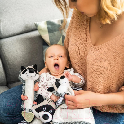 Прорезыватель для зубов BabyOno Пищалка Енот Роки / 746