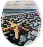 

Сиденье для унитаза АкваЛиния, SK-06017