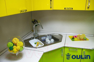 Мойка кухонная Oulin OL-310