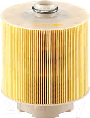 

Воздушный фильтр Mann-Filter, C17137X