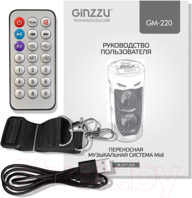 Портативная колонка Ginzzu GM-220