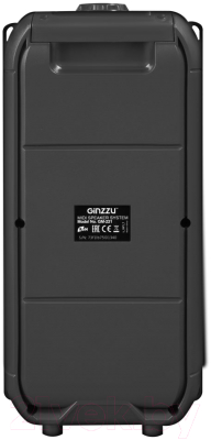 Портативная колонка Ginzzu GM-221
