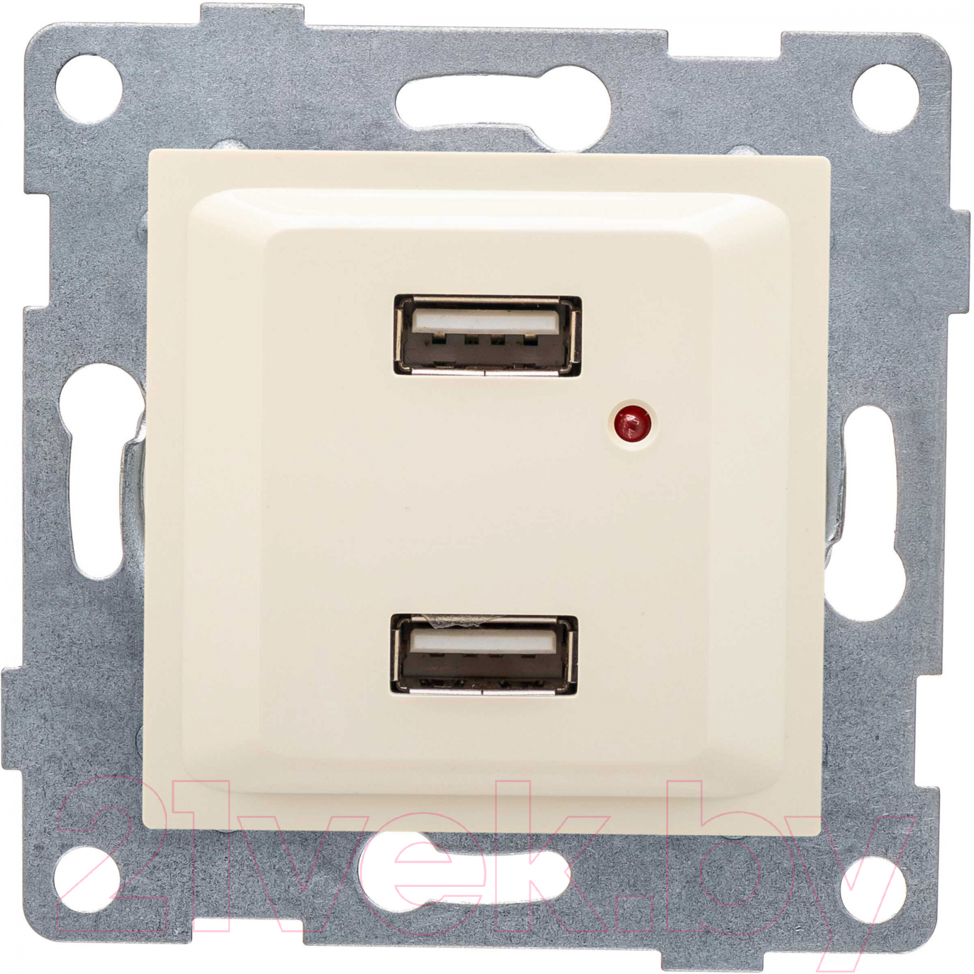 Розетка Gusi Electric Ugra С11USB2-003 (бежевый)