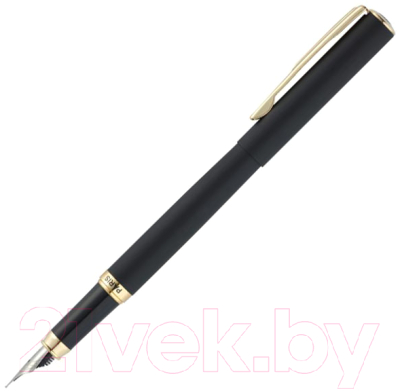 Ручка перьевая имиджевая Pierre Cardin Eco / PC0867FP