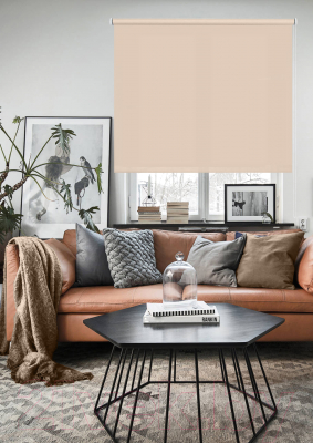 Изображение товара Рулонная штора Эскар Plain 172x160 / 711021721601 (бежевый)