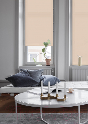 Изображение товара Рулонная штора Эскар Plain 172x160 / 711021721601 (бежевый)