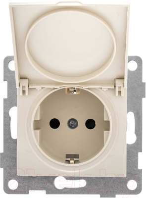 

Розетка Gusi Electric, Bravo С10Р91-003 с кожухом