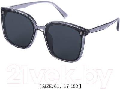 Очки солнцезащитные Miniso Simplistic Series / 6106 (серый)