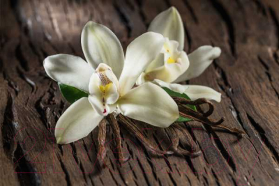 Объемная картина Papertole Ванильная орхидея 1128с
