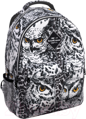 

Школьный рюкзак Erich Krause, EasyLine 20L Night Owl / 51633