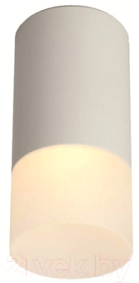 

Точечный светильник REV, Ritter Essen RCS-65MR16-WH GU5.3 / 52059 7