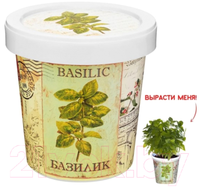 Набор для выращивания растений Rostokvisa Базилик / b1482