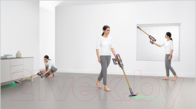 Вертикальный пылесос Dyson SV20 / V12 Detect Slim Absolute