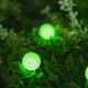 Миниатюра изображения товара Светодиодная гирлянда Luazon Нить 4137042 (зеленый)