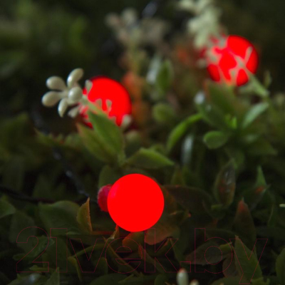 Изображение товара Светодиодная гирлянда Luazon Нить 4137039 (красный)