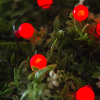 Изображение товара Светодиодная гирлянда Luazon Нить 4137039 (красный)