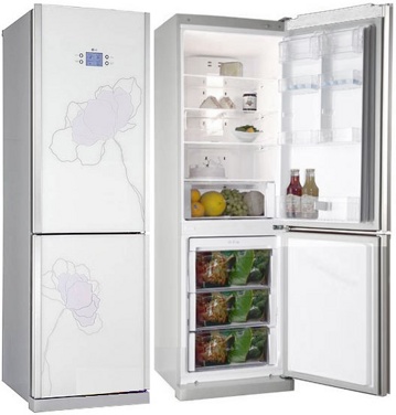 Холодильник с морозильником LG GA-B409TGAT - общий вид