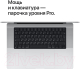 Миниатюра изображения товара Ноутбук Apple MacBook Pro 14" M1 Pro 2021 1TB / MKGT3 (серебристый)