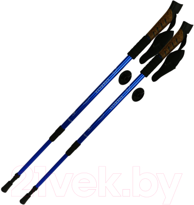 Палки для скандинавской ходьбы Energia С ручкой из пробки (синий)