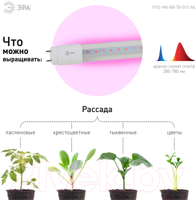 Лампа для растений ЭРА FITO-9W-RB-Т8-G13-NL / Б0042986