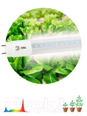 Светильник для растений ЭРА FITO-18W-Ra90-Т8-G13-NL / Б0042987