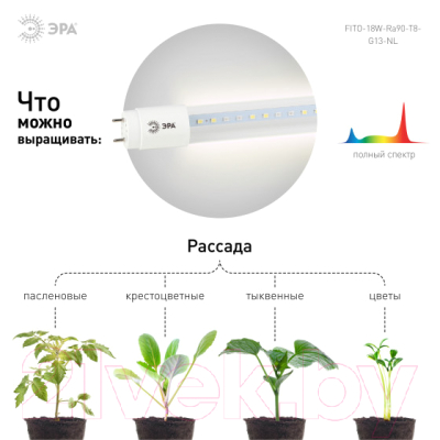 Светильник для растений ЭРА FITO-18W-Ra90-Т8-G13-NL / Б0042987