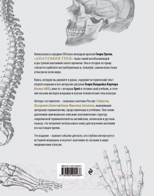 Книга Эксмо Анатомия Грея. Анатомические структуры (Билич Г., Зигалова Е.)