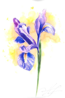 

Объемная картина Papertole, Солнечный ирис 1025с